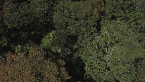 Lush Green Mountains with Clouds Aerial View