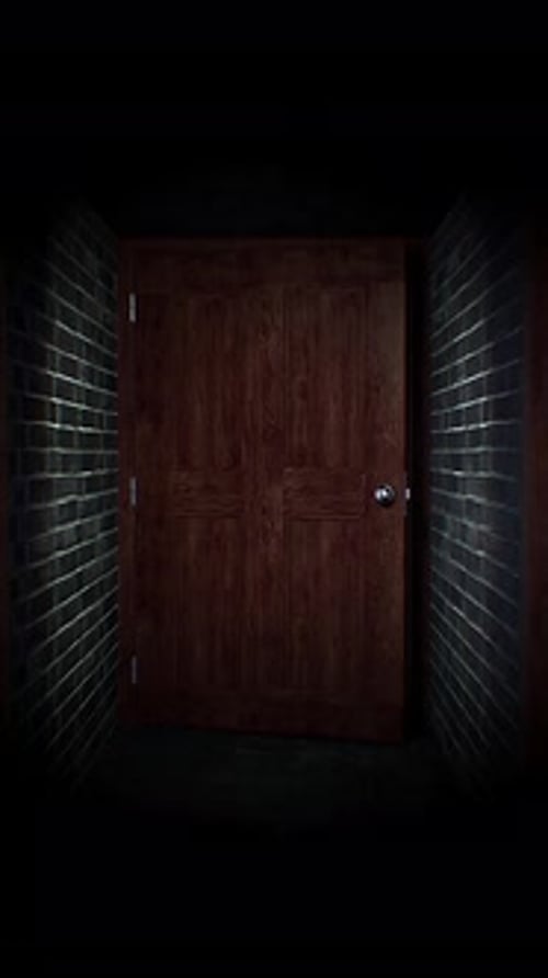 An Endless Hallway Of Doors