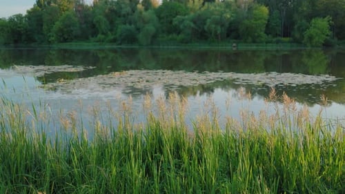 Beautiful summer river landscape. The blue, blue sky is reflected in the water surface of the lake.