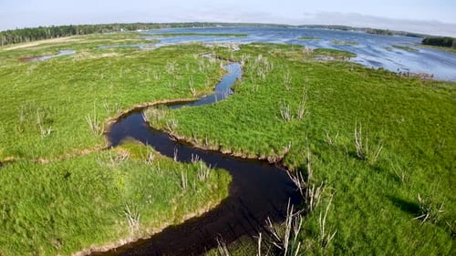 Aerial drone view of a winding river cutting through a lush green wetland in Michigan’s Upper