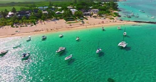 Aerial View of Beach with Palm Trees and Perfect Turquoise Sea Water Relaxing and Exotic Drone View