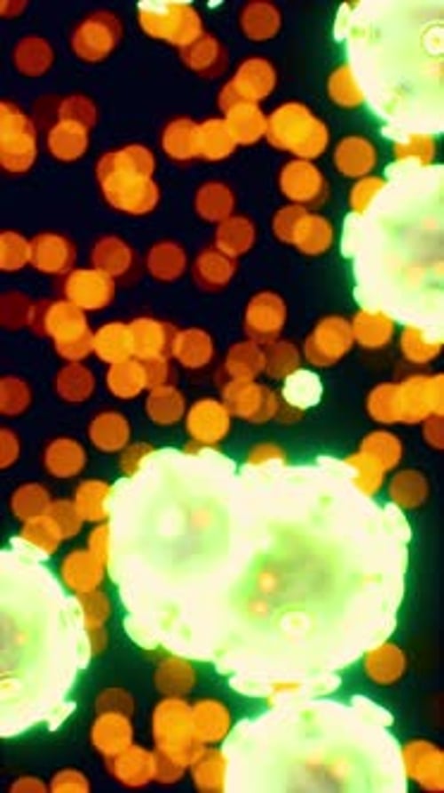 Viewing the Navirus Under a Digital Microscope