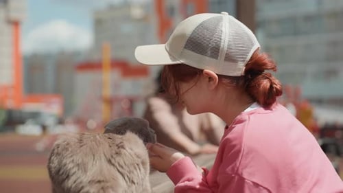 Girl In Cap Feeding Gray Cat At Park Bench Gentle Hand Offering Treat While Companion Watches From