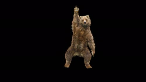 52 Jazz Dancing CH1 Bär 4K