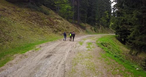 A group of friends walks through the woods, breathe pure air, smiles in the nature of the mountain