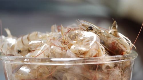 Un bol de camarones con tapa de plástico transparente. Un primer plano de una caja de camarones. Primer plano de un montón de camarones