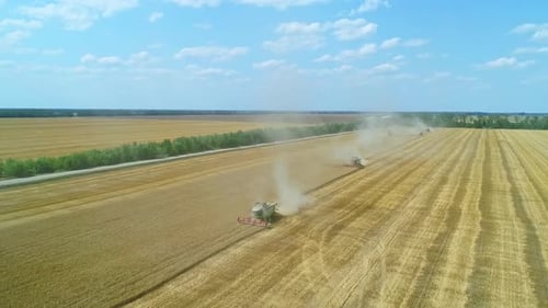 Aerial of Combines Working in the Field Harvesting Crops Gathering Season