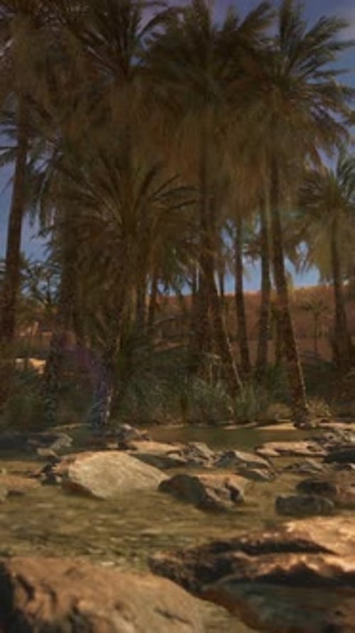 Desert Oasis Among the Dunes
