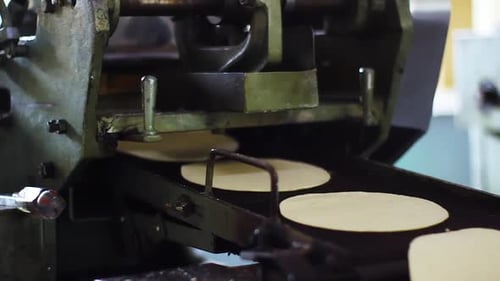 Industrial Machine Producing Circles of Dough