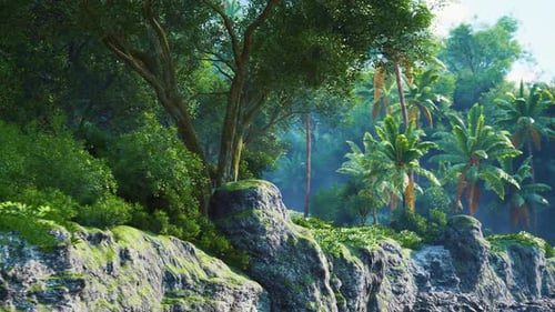 Lush Tropical Landscape Featuring Rocks and Vibrant Greenery Near the Coast