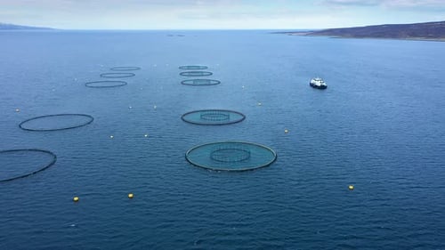 Aerial footage Farm salmon fishing in Norway