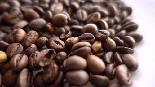 Close up of seeds of coffee