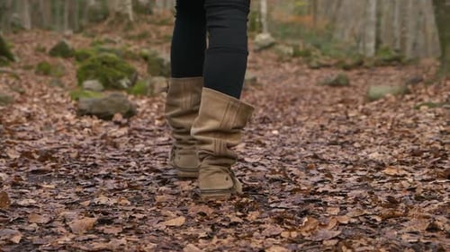 Person Walks Through Autumn Woodland Trail