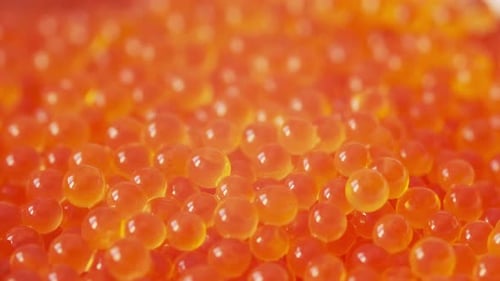 Red Caviar Closeup Macro View