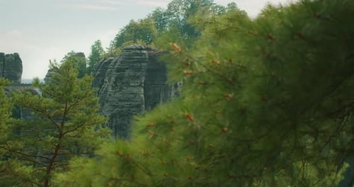 Ein Blick durch Pinien auf ferne Felsformationen, die natürliche Schönheit mit der Ruhe verbinden