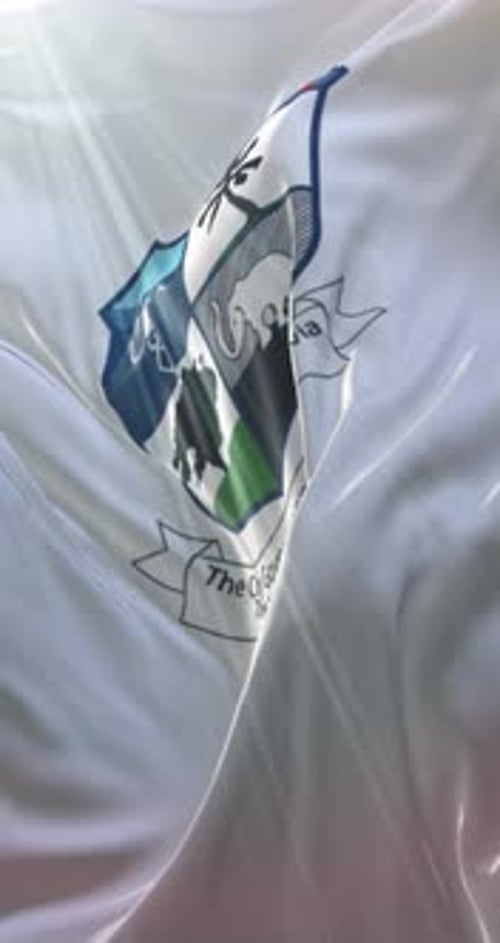 Realistic 3D Waving Flag with Corporate Emblem