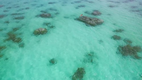 Aerial Drone Quadcopter of Young Woman Snorkeling,exploring Tropical Reef and Swimming