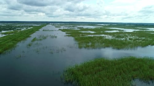 Aerial View of Extensive Wetlands with Lush Vegetation