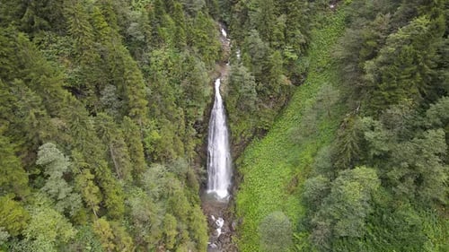 River And Waterfall In Wild Forest