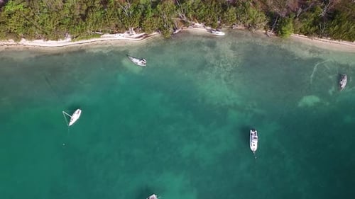 Top Down View of Sailboats Anchored Off Shore Aerial
