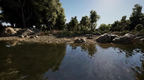 Rocky Shoreline with Reflective Water and Lush Greenery Under Clear Sky