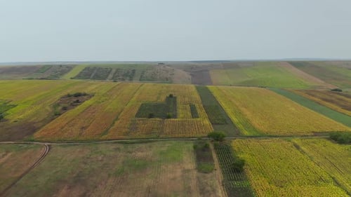 Paisagem aérea rural com campos agrícolas com manchas amarelas e céu azul