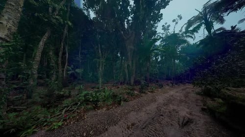Dense Jungle Path Surrounded By Towering Trees and Lush Vegetation