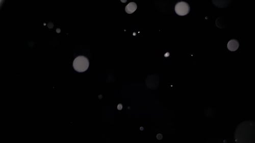 Particles Background Animation