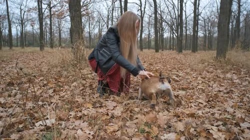 Young Beautiful Woman Walking with Her Dog in the Forest or Park