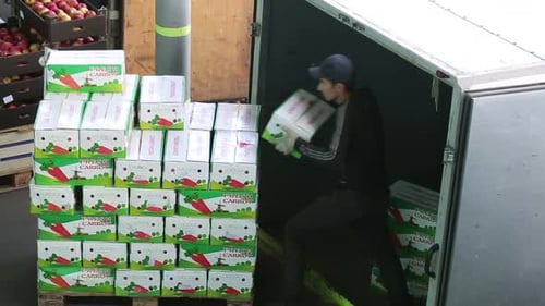 Russia, Novosibirsk - July 25, 2015: Emploee Of Transport Company Unload Boxes Of Goods From Trai...