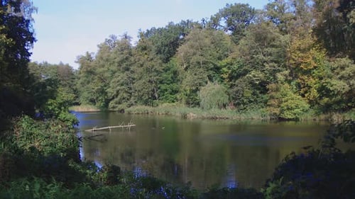 Das Video zeigt eine malerische Szene einer herbstlichen Landschaft rund um einen ruhigen See.