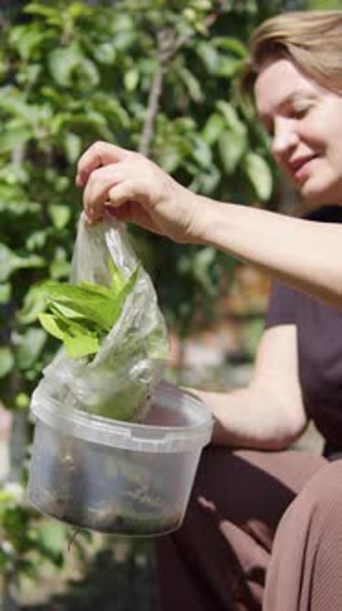 Mujer sonriente que sostiene la planta en una bolsa de plástico en el jardín