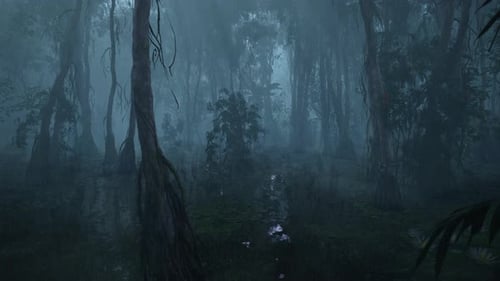Rain Falls Into The Swamp Forest