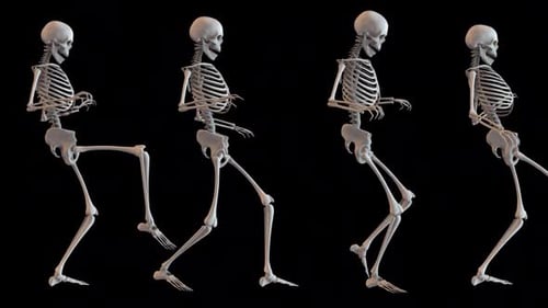 Creeping Skeletons Loop