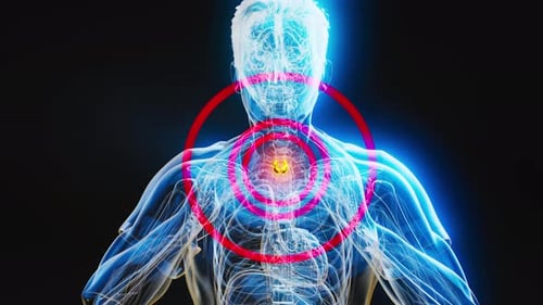 Abstract animation of a man and the thyroid gland