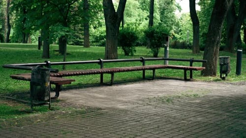 a Public Steam Property of the Nation Green Reserve Park for Walking and Relaxing Green Grass with