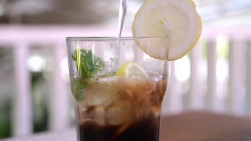 Iced Beverage with Lemon Slice and Mint