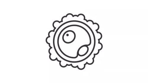 Egg Ovum Line Animation