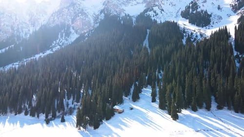 Aerial view of wooden cabin in snowy pine forest and mountains