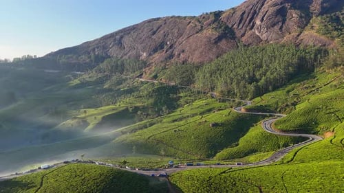 Brouillard matinal à l'aube, Munnar