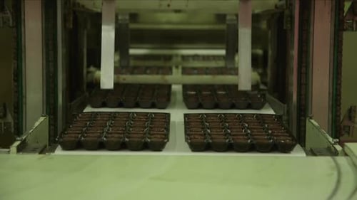candy molds are separated from a package of chocolates in a chocolate factory