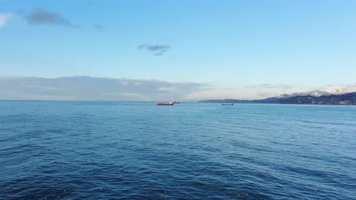Luftaufnahme des Meeres und eines Schiffes am Horizont Eine große Möwe fliegt in das Bild