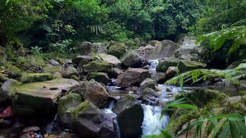 Streams in the forest. Some rocks. Relax. Nature background. Holiday