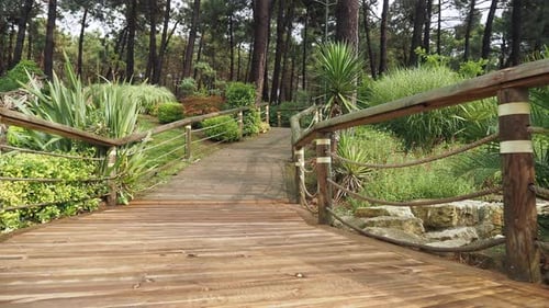 Wooden Pathway in a Park in Istanbul