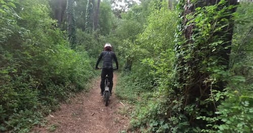 Man, forest and dirt bike with back for extreme sport, race and adventure on nature trail