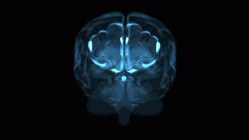 Futuristic Digital Brain Scan with Neural Activity Loop