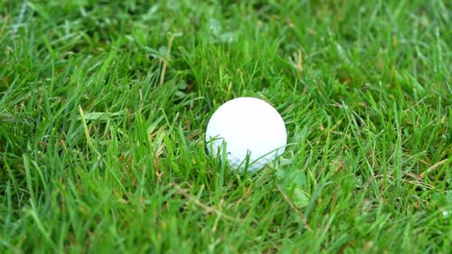 Golf ball being hit out of the rough 4K