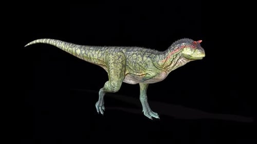 Dinosaure Carnotaurus Walk Idle