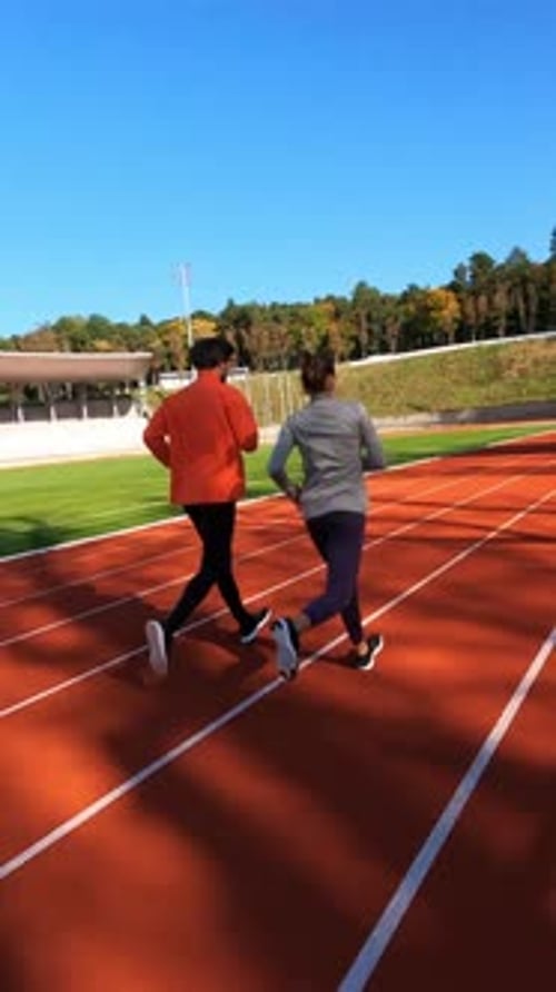 Sportler trainieren friedlich im Freien, Teilnehmer nehmen an Aufwärmübungen während der sonnigen Strecke teil