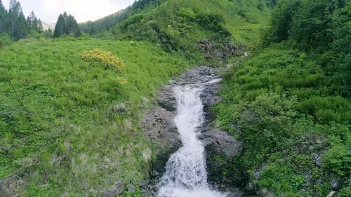 Stream flowing through the green nature cover